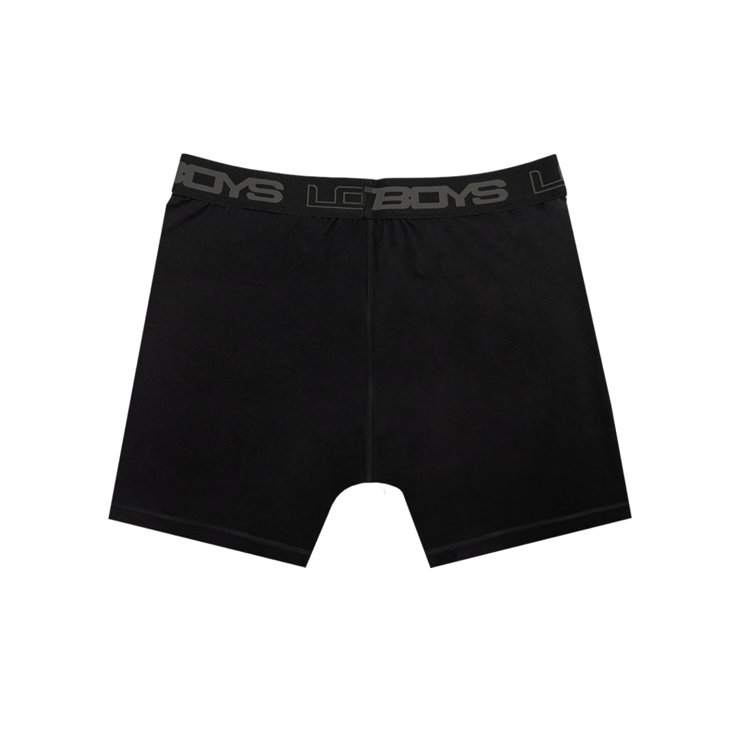 LB3000 BOXERS — 2-PACK